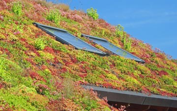 Melbourn living roof systems