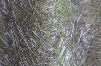 Melbourn fibreglass roof work